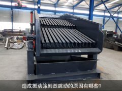 造成振动筛剧烈跳动的原因有哪些？